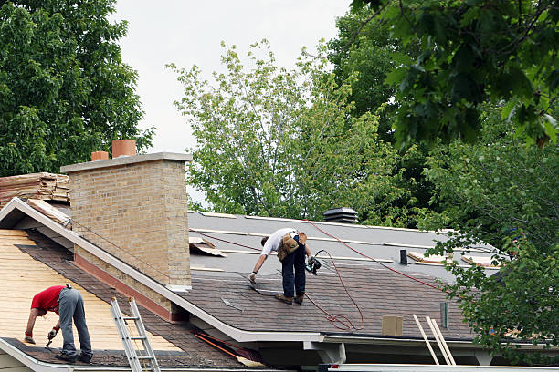 Roof Gutter Cleaning in North Chicago, IL